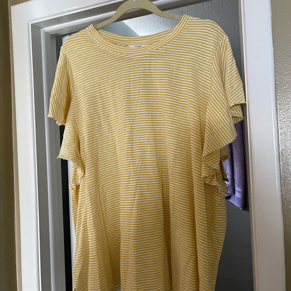 Terra & Sky Ruffle sleeve Tee